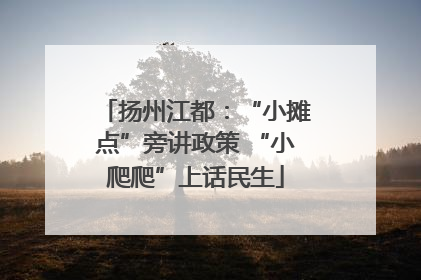 扬州江都：“小摊点”旁讲政策 “小爬爬”上话民生