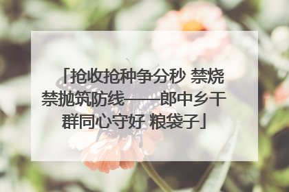 抢收抢种争分秒 禁烧禁抛筑防线——郎中乡干群同心守好 粮袋子