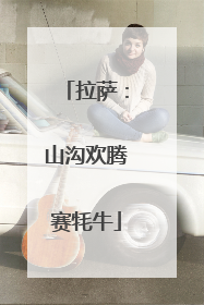 拉萨：山沟欢腾赛牦牛