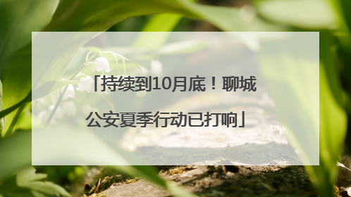 持续到10月底！聊城公安夏季行动已打响
