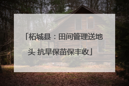 柘城县：田间管理送地头 抗旱保苗保丰收