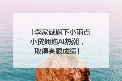 李家诚旗下小雨点小贷拥抱AI热潮，取得亮眼成绩