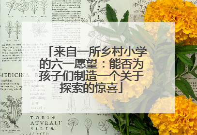 来自一所乡村小学的六一愿望：能否为孩子们制造一个关于探索的惊喜