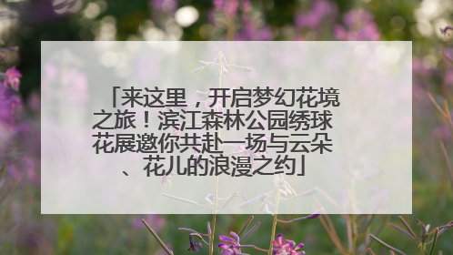 来这里，开启梦幻花境之旅！滨江森林公园绣球花展邀你共赴一场与云朵、花儿的浪漫之约