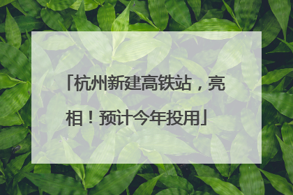 杭州新建高铁站，亮相！预计今年投用