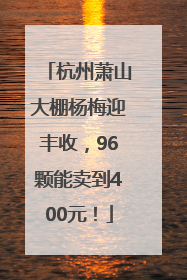 杭州萧山大棚杨梅迎丰收，96颗能卖到400元！
