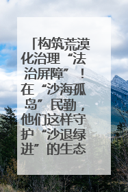 构筑荒漠化治理“法治屏障”！在“沙海孤岛”民勤，他们这样守护“沙退绿进”的生态奇迹