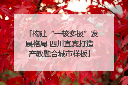 构建“一核多极”发展格局 四川宜宾打造产教融合城市样板