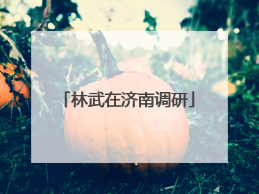 林武在济南调研