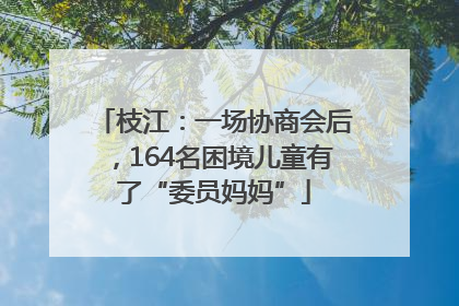 枝江：一场协商会后，164名困境儿童有了“委员妈妈”