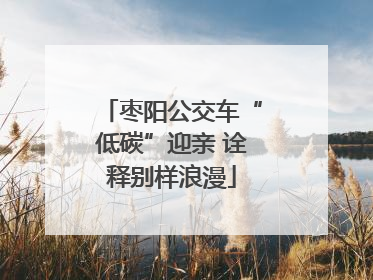 枣阳公交车“低碳”迎亲 诠释别样浪漫