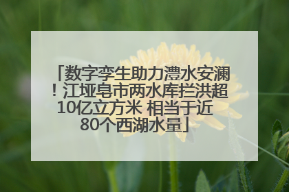 数字孪生助力澧水安澜！江垭皂市两水库拦洪超10亿立方米 相当于近80个西湖水量