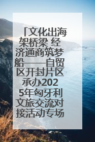 文化出海架桥梁 经济通商筑梦船——自贸区开封片区承办2025年匈牙利文旅交流对接活动专场