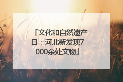 文化和自然遗产日：河北新发现7000余处文物