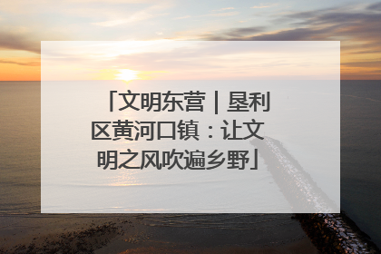 文明东营｜垦利区黄河口镇：让文明之风吹遍乡野