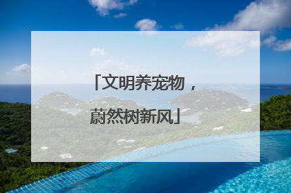 文明养宠物，蔚然树新风