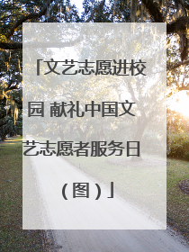 文艺志愿进校园 献礼中国文艺志愿者服务日（图）