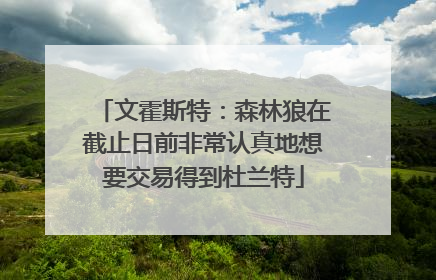 文霍斯特：森林狼在截止日前非常认真地想要交易得到杜兰特