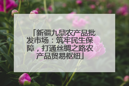 新疆九鼎农产品批发市场：筑牢民生保障，打通丝绸之路农产品贸易枢纽