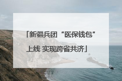 新疆兵团“医保钱包”上线 实现跨省共济