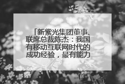 新紫光集团董事、联席总裁陈杰：我国有移动互联网时代的成功经验，最有能力做好AI应用创新