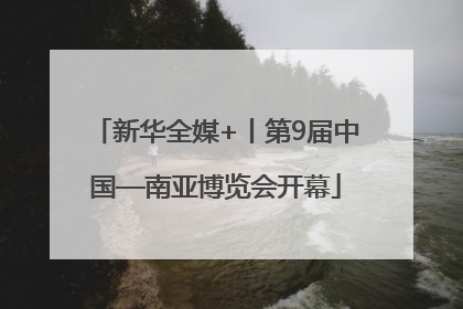 新华全媒+丨第9届中国—南亚博览会开幕