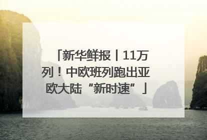 新华鲜报丨11万列！中欧班列跑出亚欧大陆“新时速”