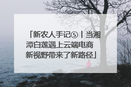 新农人手记⑤丨当湘潭白莲遇上云端电商 新视野带来了新路径