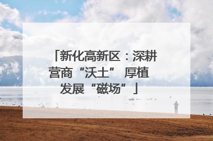新化高新区：深耕营商“沃土” 厚植发展“磁场”