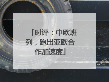 时评：中欧班列，跑出亚欧合作加速度