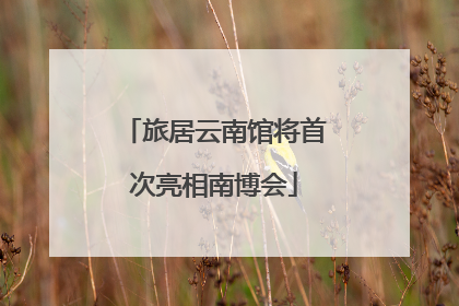 旅居云南馆将首次亮相南博会