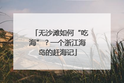 无沙滩如何“吃海”？一个浙江海岛的赶海记