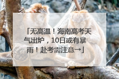 无高温！海南高考天气出炉，10日或有暴雨！赴考需注意→