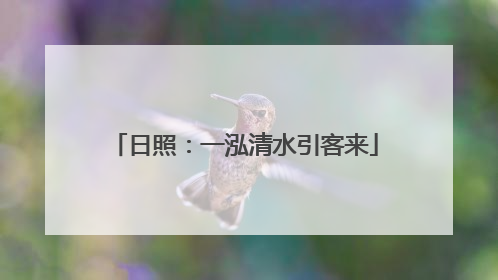 日照：一泓清水引客来