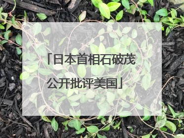 日本首相石破茂公开批评美国