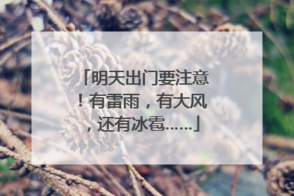 明天出门要注意！有雷雨，有大风，还有冰雹……