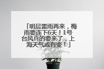 明晨雷雨再来，梅雨要连下6天！1号台风真的要来了，上海天气或有变！