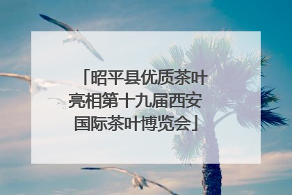 昭平县优质茶叶亮相第十九届西安国际茶叶博览会