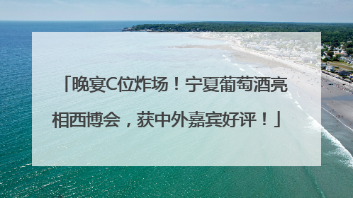 晚宴C位炸场！宁夏葡萄酒亮相西博会，获中外嘉宾好评！