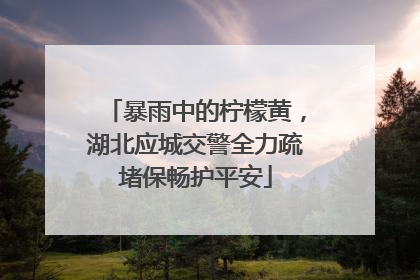 暴雨中的柠檬黄，湖北应城交警全力疏堵保畅护平安