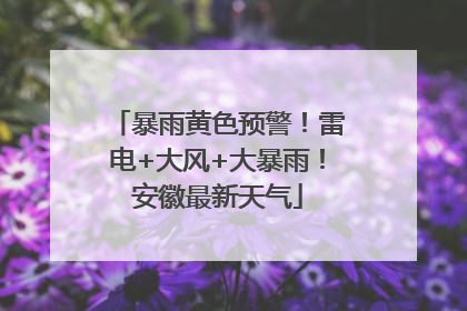 暴雨黄色预警！雷电+大风+大暴雨！安徽最新天气