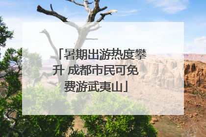 暑期出游热度攀升 成都市民可免费游武夷山
