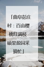 曲阜彭庄村：百亩樱桃红满枝 硕果盈园采摘忙