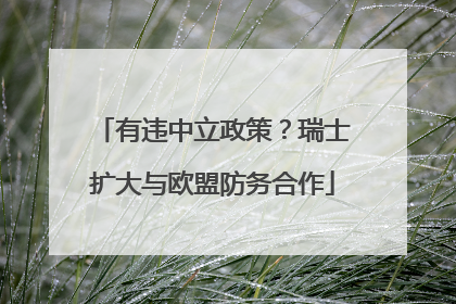 有违中立政策？瑞士扩大与欧盟防务合作
