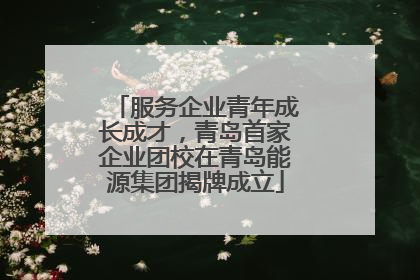 服务企业青年成长成才，青岛首家企业团校在青岛能源集团揭牌成立
