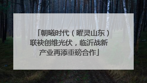 朝曦时代（曜灵山东）联袂创维光伏，临沂战新产业再添重磅合作