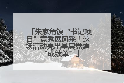 朱家角镇“书记项目”竞秀展风采！这场活动亮出基层党建“成绩单”