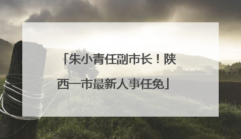 朱小青任副市长！陕西一市最新人事任免