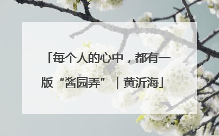 每个人的心中，都有一版“酱园弄”｜黄沂海