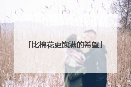 比棉花更饱满的希望